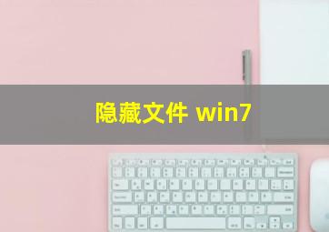 隐藏文件 win7